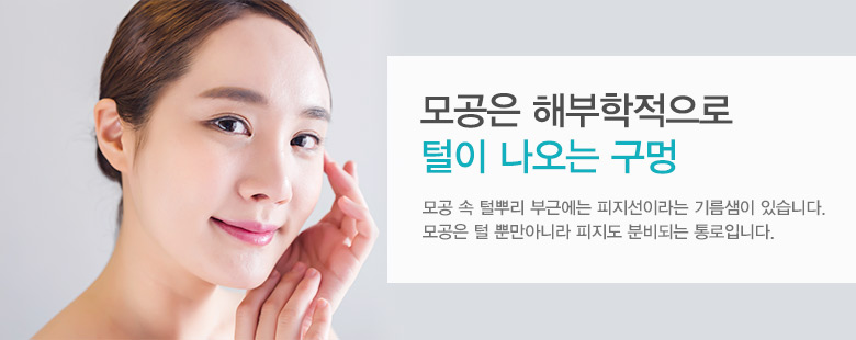 모공은 해부학적으로 털이 나오는 구멍